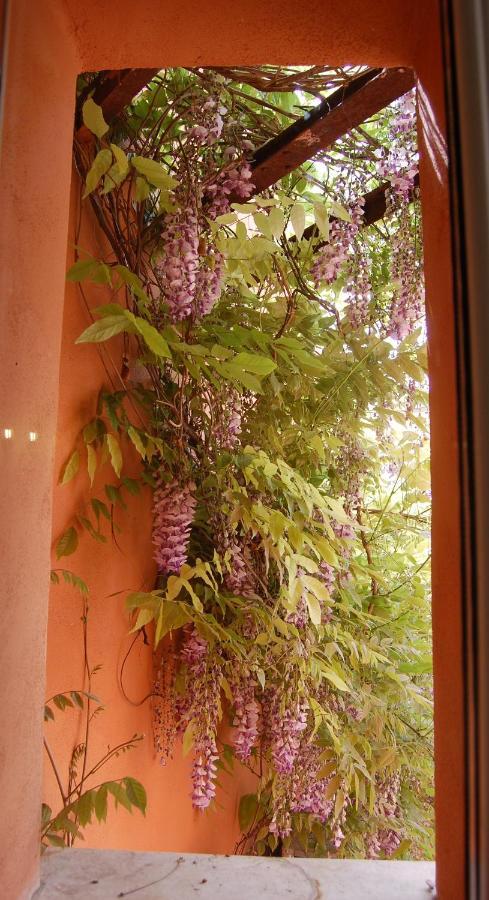 Casa Satta 1925 Hotel ออลเบีย ภายนอก รูปภาพ